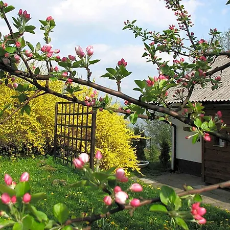 Resort Centrum Wypoczynku Odys 3*