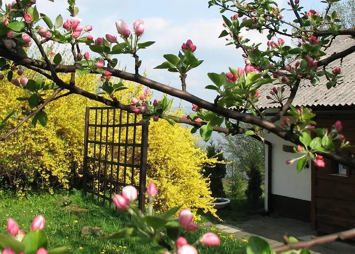 Resort Centrum Wypoczynku Odys 3*