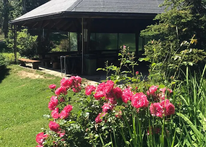 Resort Centrum Wypoczynku Odys 3*